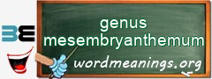 WordMeaning blackboard for genus mesembryanthemum